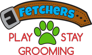 Fetchers Play and Stay Olathe Kansas