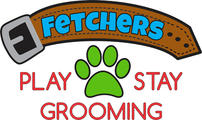 Fetchers Play and Stay