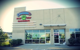 fetchers play and stay located in olathe kansas is a dog boarding, daycare and grooming facility